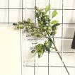 Artificial Berry Plants Olive Fruit Beans 5 Branches - Image 5