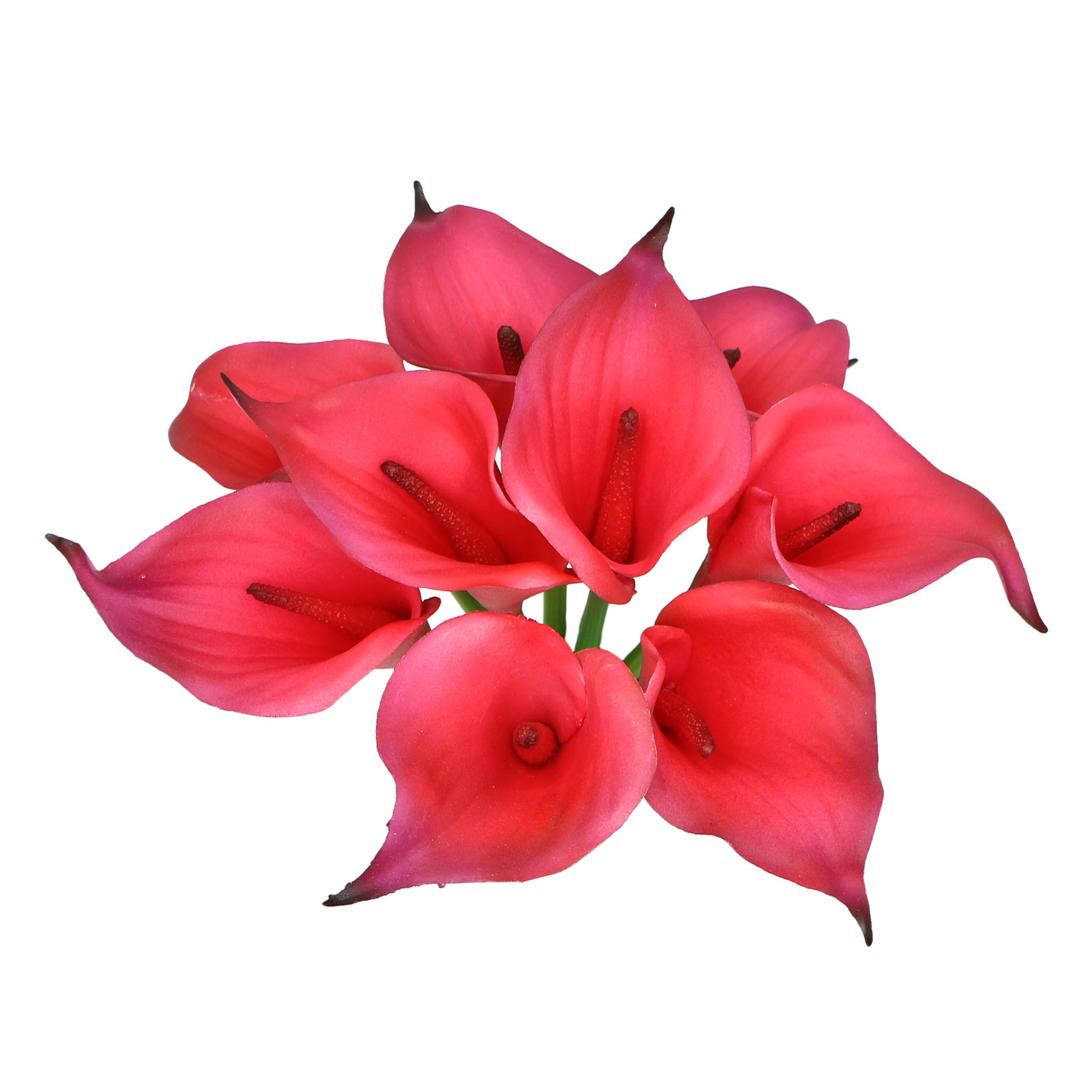 Artificial Calla Lily Latex Flowers Various Colors