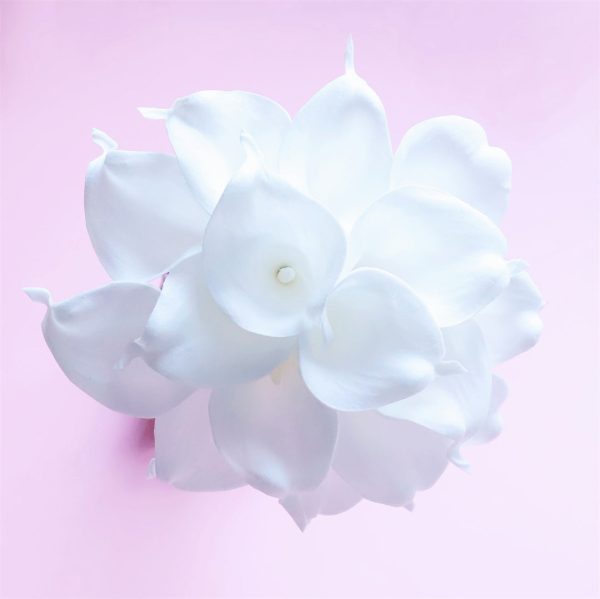 White Bridal Bouquet Bridesmaids Boutonniere Corsage