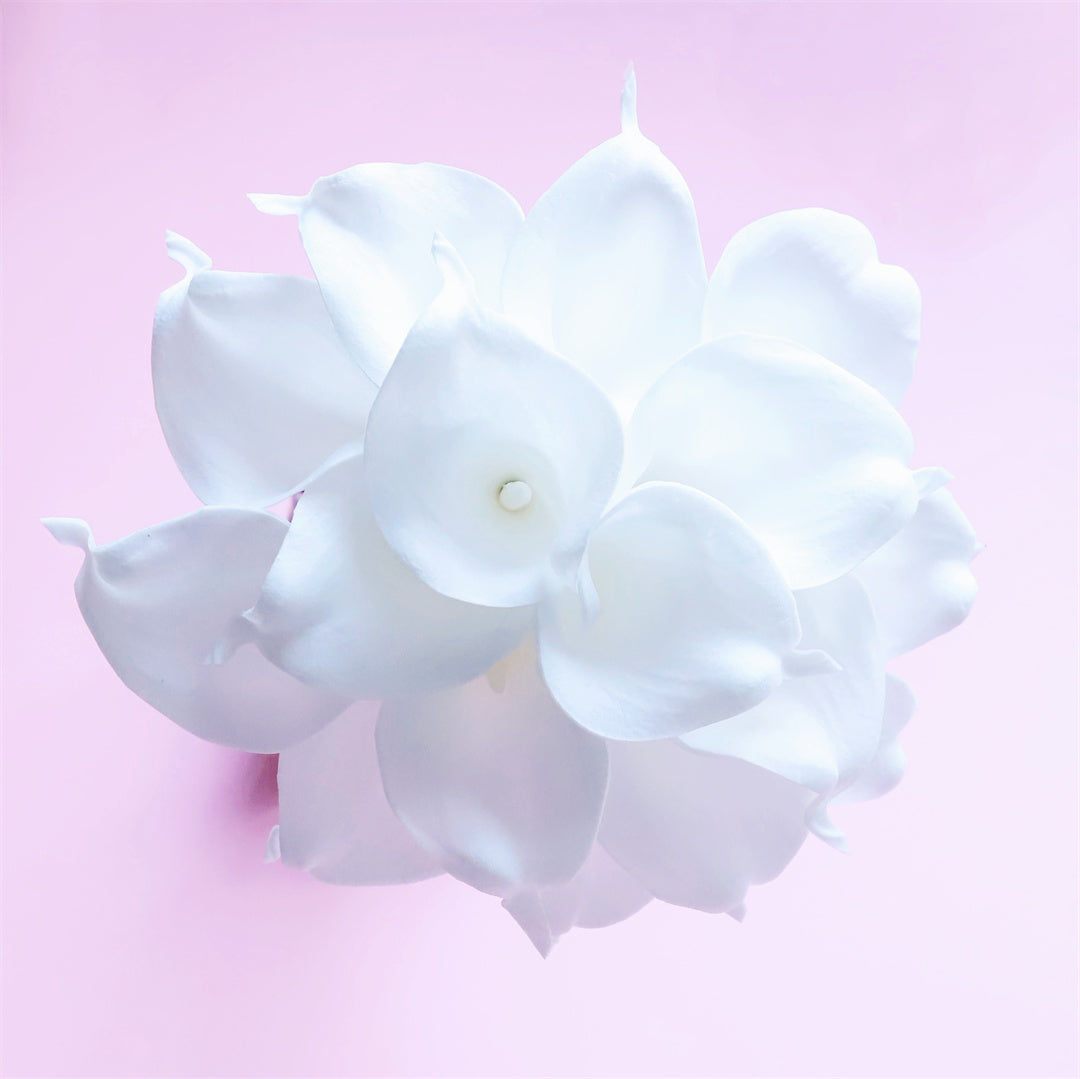 White Bridal Bouquet Bridesmaids Boutonniere Corsage